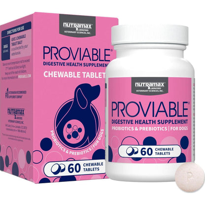 Nutramax Proviable Dog Probiotic, 60 Chewable Tablets, Daily Digestive Health Supplement with Prebiotics