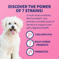 Nutramax Proviable Dog Probiotic, 60 Chewable Tablets, Daily Digestive Health Supplement with Prebiotics