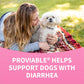 Nutramax Proviable Dog Probiotic, 60 Chewable Tablets, Daily Digestive Health Supplement with Prebiotics