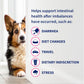 Nutramax Proviable Dog Probiotic, 60 Chewable Tablets, Daily Digestive Health Supplement with Prebiotics