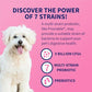Nutramax Proviable Probiotics for Dogs and Cats 80 Capsules with Multi Strain Prebiotics Digestive Support