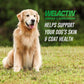 Nutramax Welactin Omega 3 Fish Oil Liquid 16 oz Skin and Coat Supplement for Dogs