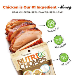 NutriChomps 6 Inch Braided Dog Chews Pack of 4 Rawhide Free Easy to Digest Real Chicken PB and Milk Flavors