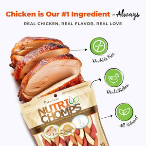 NutriChomps 6 Inch Braided Dog Chews 10 Count Rawhide Free Real Chicken Peanut Butter Milk Flavor