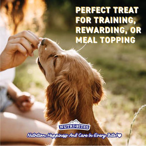 Nutri Bites Freeze-Dried Salmon Treats for Dogs & Cats, 14 oz, Single-Protein, High Protein, Bulk Value Pack