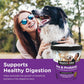 Nutri Vet Dog Probiotics Liver and Cheese Flavor 120 Soft Chews Digestive Support and Pet Supplement for Puppies