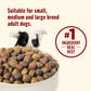 Nutrish Real Beef & Brown Rice Dry Dog Food, 6 lb Bag, Whole Health Blend, Rachael Ray