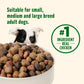 Rachael Ray Nutrish Chicken & Veggies Dry Dog Food, 6 lb Bag, Whole Health Blend, Real Chicken Recipe, Packaging May Vary