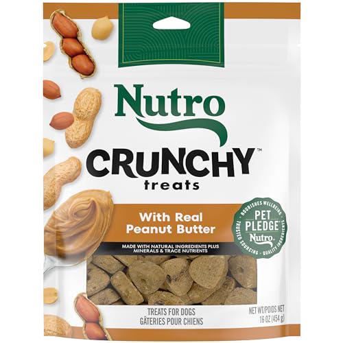 Nutro Crunchy Dog Treats Real Peanut Butter Recipe 16 oz Bag