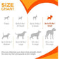 Nylabone Puppy Chew and Treat Pack 3 Count Small Chicken and Bacon Flavor for Dogs Up to 25 lbs Pink