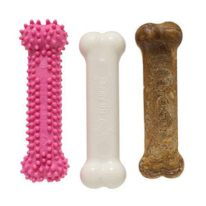 Nylabone Puppy Chew and Treat Pack 3 Count Small Chicken and Bacon Flavor for Dogs Up to 25 lbs Pink
