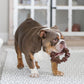 Nylabone Textured Ring Power Chew for Aggressive Chewers X-Large Dog 1 Count