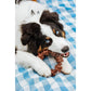Nylabone Textured Ring Power Chew for Aggressive Chewers X-Large Dog 1 Count