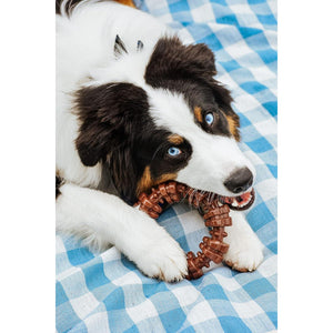 Nylabone Textured Ring Power Chew for Aggressive Chewers X-Large Dog 1 Count