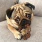 Nylabone Power Chew Textured Ring Toy, Flavor Medley, Small Dogs Up to 25 lbs, Durable Chewer Toy