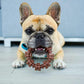 Nylabone Power Chew Textured Ring Toy, Flavor Medley, Small Dogs Up to 25 lbs, Durable Chewer Toy