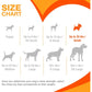 Nylabone Power Chew Textured Ring Toy, Flavor Medley, Small Dogs Up to 25 lbs, Durable Chewer Toy