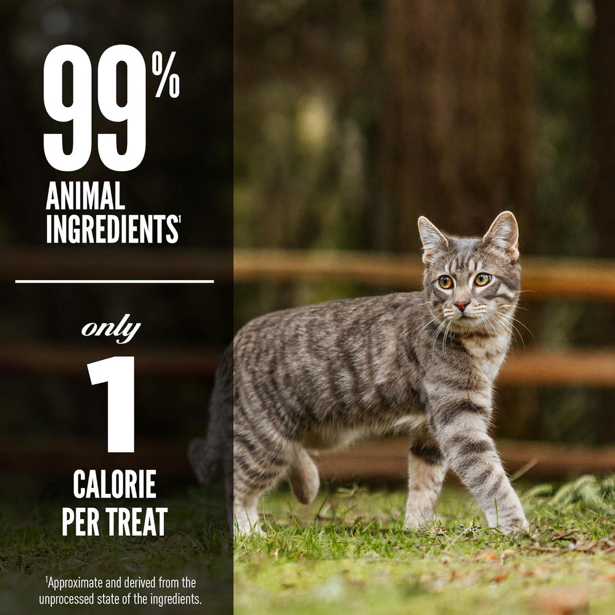 ORIJEN Regional RED Freeze Dried Cat Treats, Grain Free Treats For Cats, WholePrey Ingredients, 1.25oz,