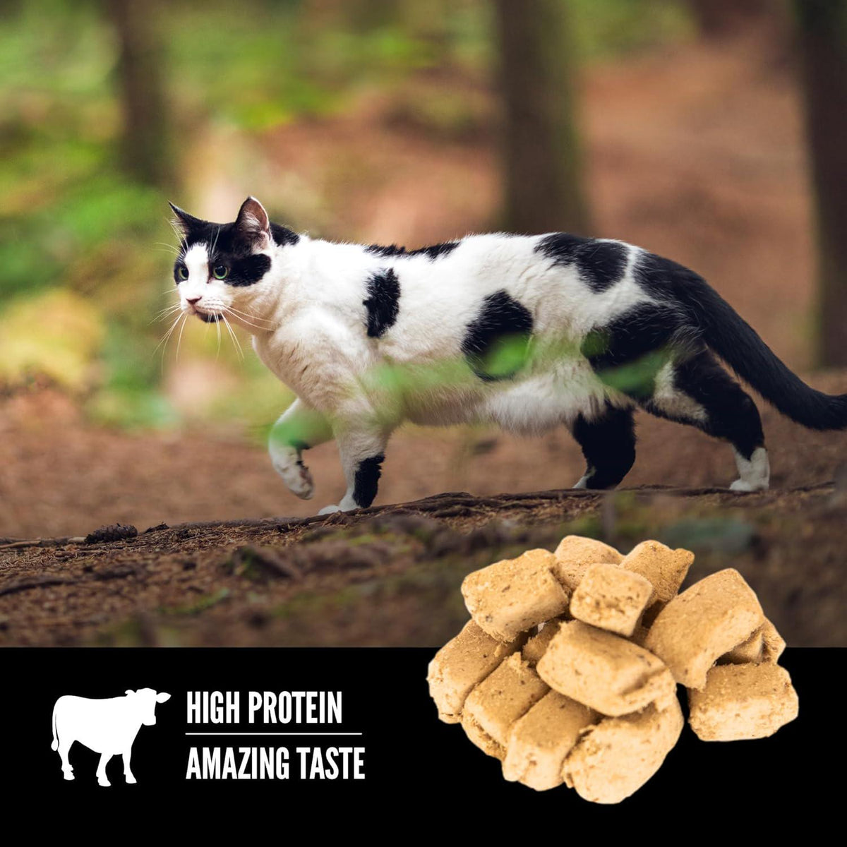 ORIJEN Regional RED Freeze Dried Cat Treats, Grain Free Treats For Cats, WholePrey Ingredients, 1.25oz,