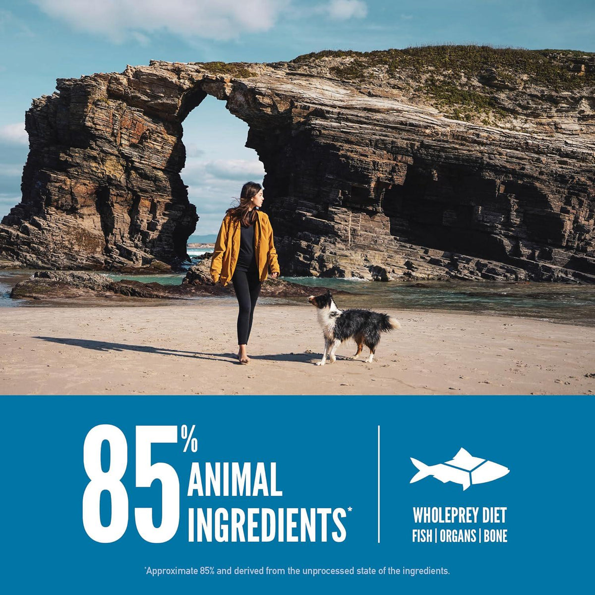 ORIJEN Six Fish Dry Dog Food, Grain Free And Chicken Free Dog Food, Fresh Or Raw Ingredients, 23.5lb,