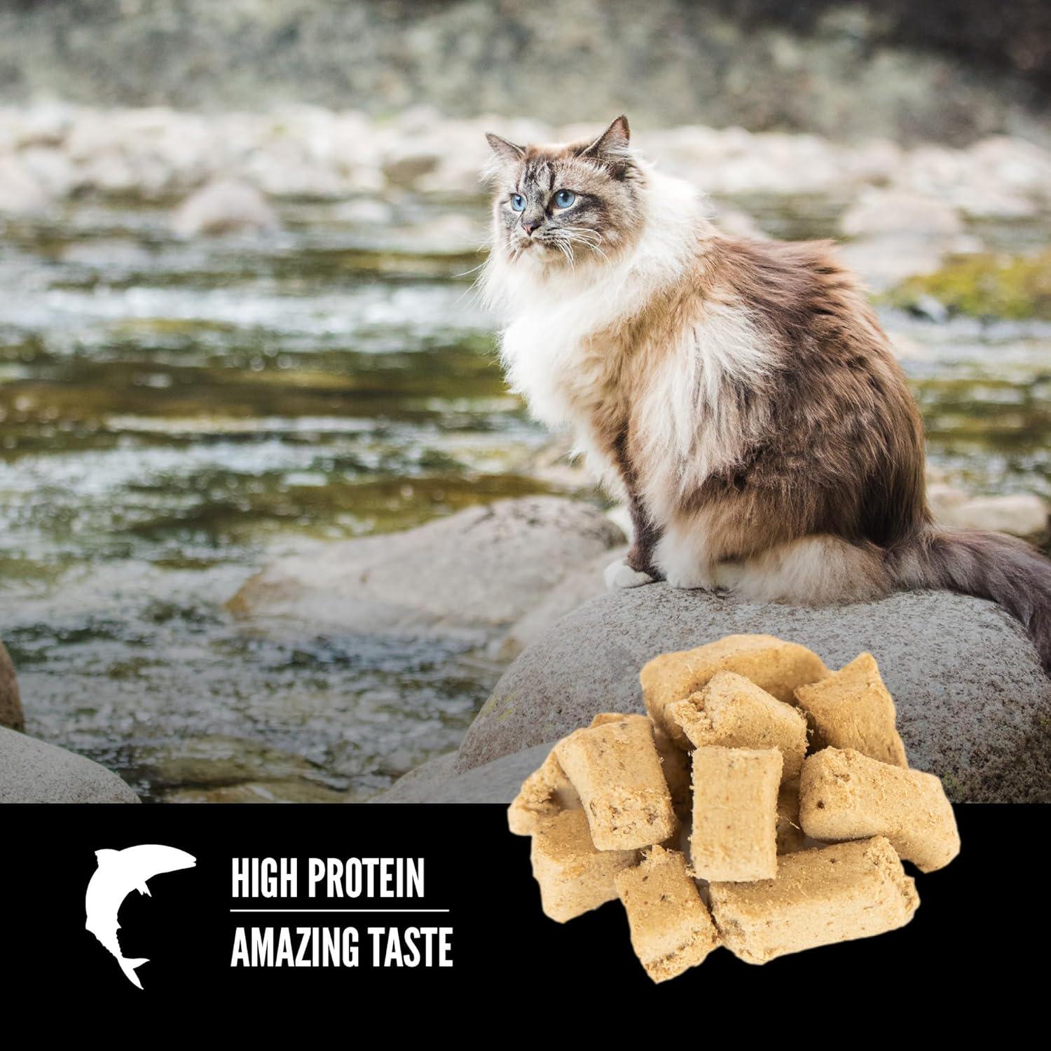 ORIJEN Six Fish Freeze Dried Cat Treats, Grain Free Treats For Cats, Raw Animal Ingredients, 1.25oz,