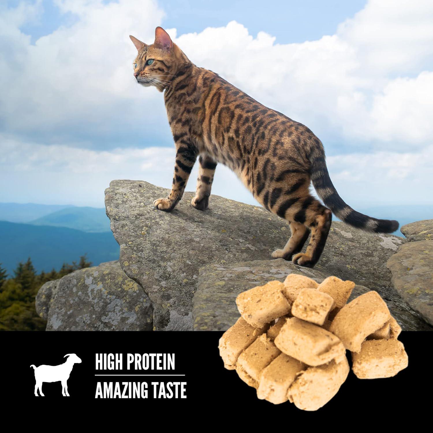 ORIJEN Tundra Freeze Dried Cat Treats, Grain Free Treats For Cats, WholePrey Ingredients, 1.25oz,
