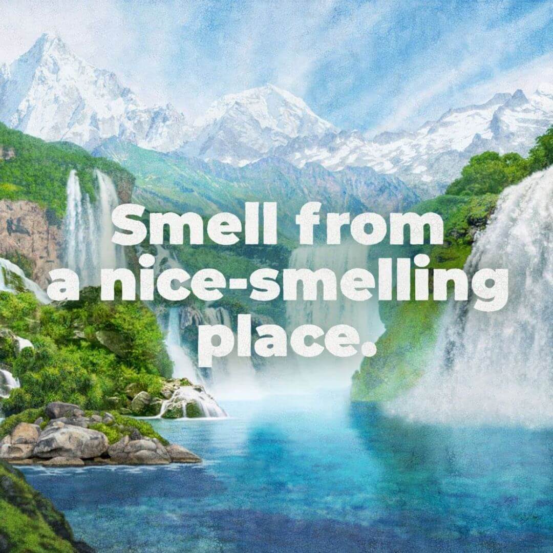 Irish Spring Charcoal Moisturizing Face + Body Wash 532ml,035000451095,