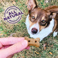 Old Mother Hubbard Savory Mix Dog Biscuits 20 oz Mini Crunchy Training Treats in Variety Flavors