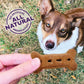 Old Mother Hubbard P-Nuttier Dog Biscuits Large Peanut Butter Flavor 6 lb Box