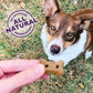Old Mother Hubbard P-Nuttier Dog Biscuits 20 oz Mini Peanut Butter Flavor Natural Crunchy Training Treats