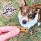 Old Mother Hubbard P Nuttier Mini Dog Biscuits Peanut Butter Flavor Natural Treats 6 lb Box