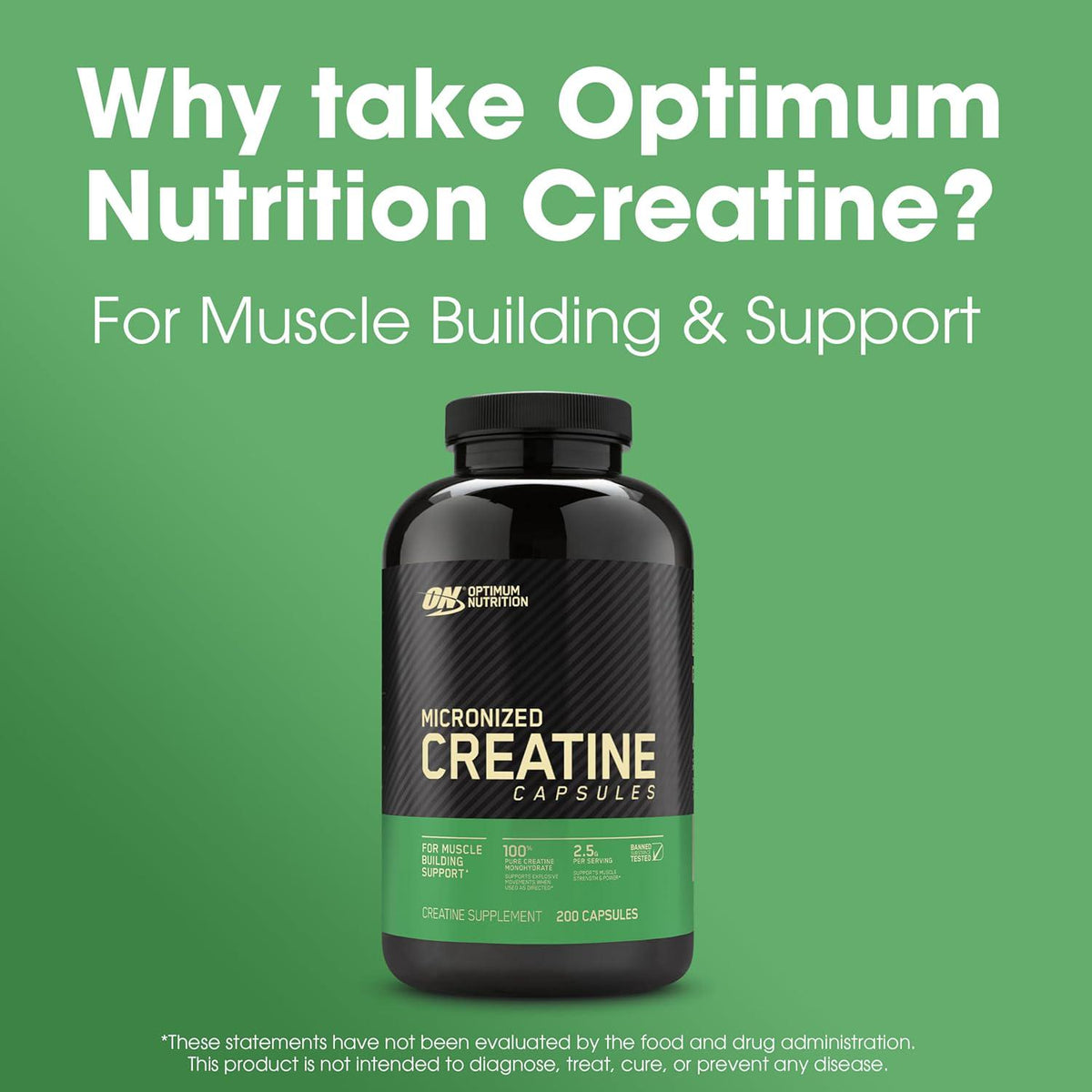 Optimum Nutrition Optimum Nutrition Micronized Creatine Monohydrate Capsules, Keto Friendly, 2500mg, 200 Capsules (Packaging May Vary)