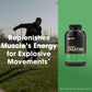 Optimum Nutrition Optimum Nutrition Micronized Creatine Monohydrate Capsules, Keto Friendly, 2500mg, 200 Capsules (Packaging May Vary)
