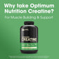 Optimum Nutrition Optimum Nutrition Micronized Creatine Monohydrate Powder, Unflavored, 120 Servings, 600 Grams (Packaging May Vary)