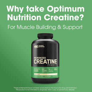 Optimum Nutrition Optimum Nutrition Micronized Creatine Monohydrate Powder, Unflavored, 120 Servings, 600 Grams (Packaging May Vary)