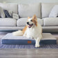 Orthopedic Dog Bed for Large Dogs with Washable Cover Egg Crate Foam Anti Slip Bottom Plush Mat Grey