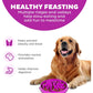 Outward Hound Fun Feeder Slo Bowl, Large Purple Dog Bowl, 4 Cups, Slow Eating Anti-Choke Design
