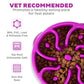 Outward Hound Fun Feeder Slo Bowl for Medium Dogs Slow Eating Dog Bowl Purple Mini Size