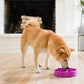 Outward Hound Fun Feeder Slo Bowl for Medium Dogs Slow Eating Dog Bowl Purple Mini Size