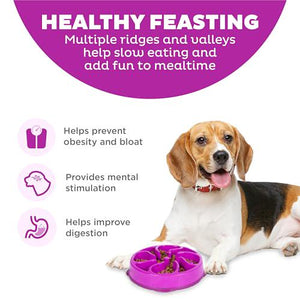 Outward Hound Fun Feeder Slo Bowl for Medium Dogs Slow Eating Dog Bowl Purple Mini Size