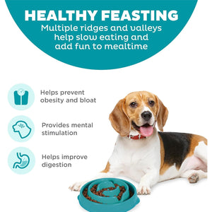 Outward Hound Fun Feeder Slo Bowl Medium Mini Turquoise Slow Feed Dog Bowl