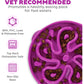 Outward Hound Fun Feeder Slo Bowl, Large Purple Dog Bowl, 4 Cups, Slow Eating Anti-Choke Design
