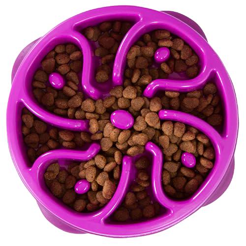 Outward Hound Fun Feeder Slo Bowl for Medium Dogs Slow Eating Dog Bowl Purple Mini Size