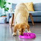 Outward Hound Fun Feeder Slo Bowl, Large Purple Dog Bowl, 4 Cups, Slow Eating Anti-Choke Design