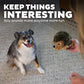 Outward Hound Hedgehogz Plush Dog Toy, Medium Size, Squeaky Chew & Cuddle Toy