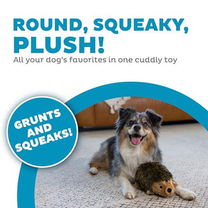 Outward Hound Hedgehogz Plush Dog Toy, Medium Size, Squeaky Chew & Cuddle Toy