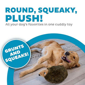 Outward Hound Hedgehogz Large Plush Dog Toy Soft Squeaky Fun Toy for Gentle Chewers