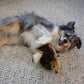 Outward Hound Hedgehogz Plush Dog Toy, Medium Size, Squeaky Chew & Cuddle Toy