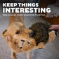 Outward Hound Hedgehogz Large Plush Dog Toy Soft Squeaky Fun Toy for Gentle Chewers