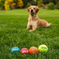 Outward Hound Squeaker Ballz Dog Toy Medium Size Fetch Balls 4 Pack Indoor and Outdoor Play